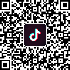 抖音小程序